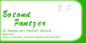 botond pantzer business card